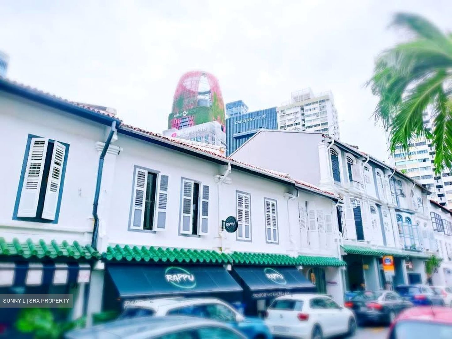 Duxton Road (D2), Retail #576081631